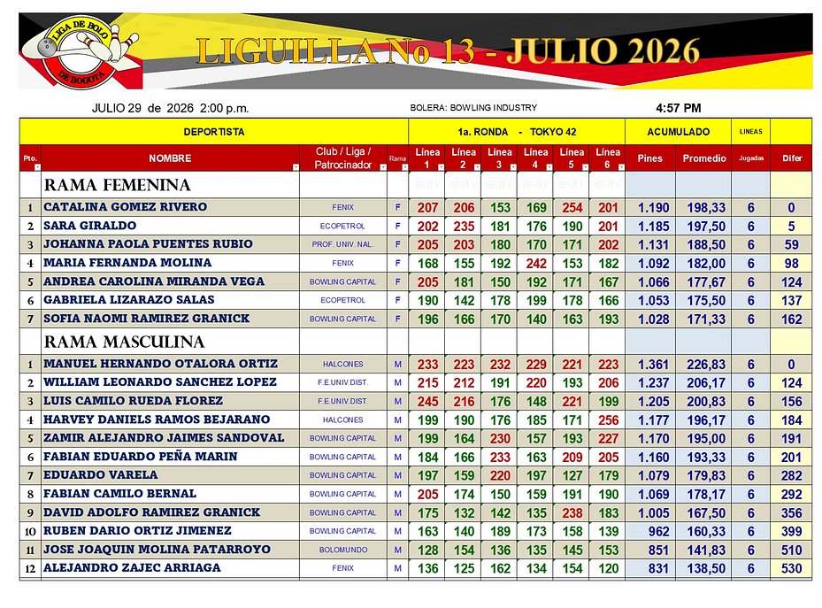 Diapositiva13